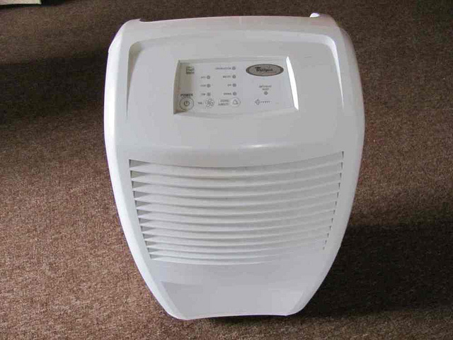 Kiváló párametesítők